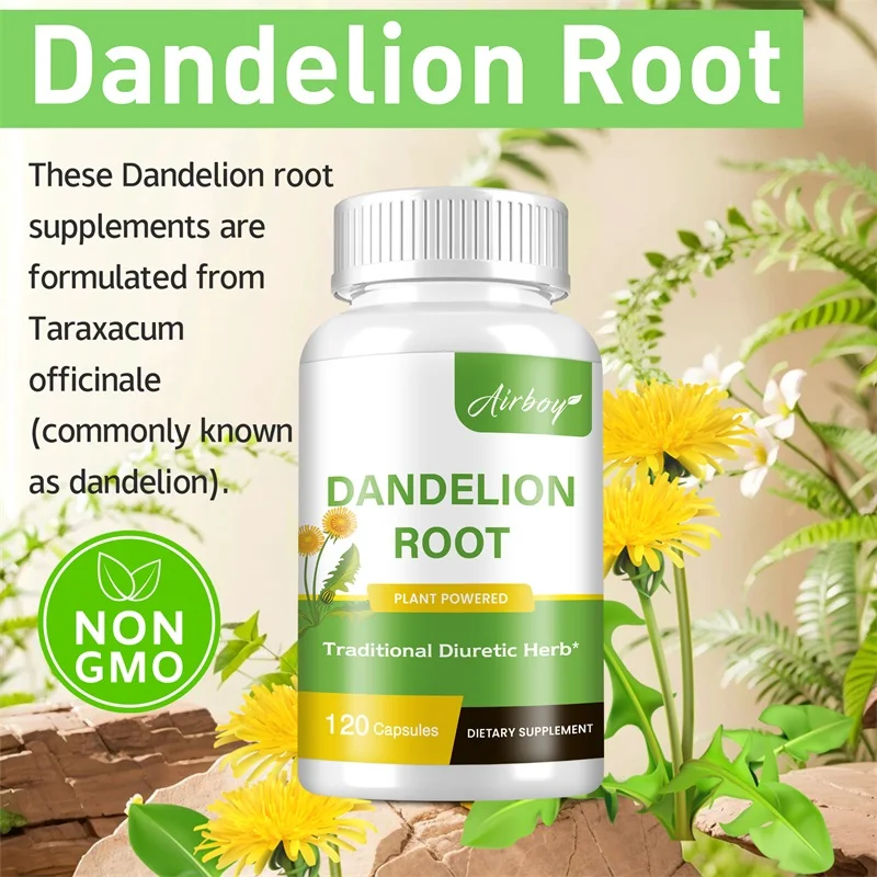 Dandelion Root Capsules - Pros - огляд і ціна Home Bathroom With Urinal